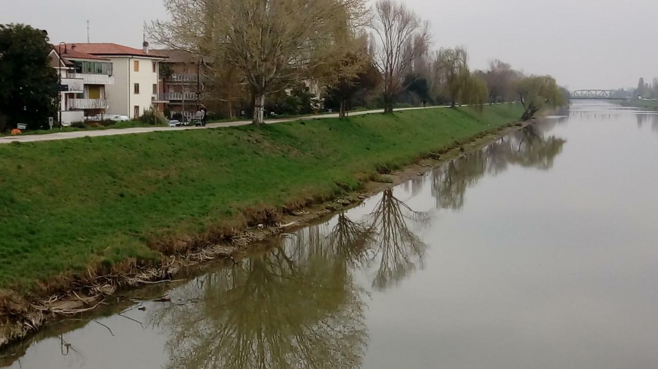 Vicino Al Prato Della Valle Intero Appartamento Parcheggio Facile Di Fronte ปาโดวา ภายนอก รูปภาพ